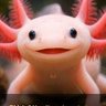 Profilbild von Lakemonster