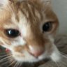 イケメンになりたい profil fotoğrafı