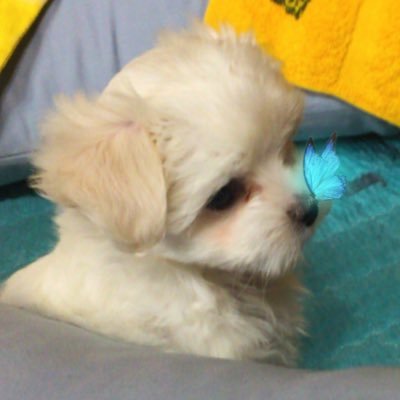 _mini1013_'s profile picture