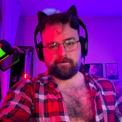 koto_the_bear's profile picture
