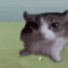 Profilbild von 𝒟օʟʟʏ