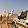 تركي القحطاني profil fotoğrafı