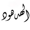 ✦ مـشــاري الـهـدهـود ✦🌼 profil fotoğrafı