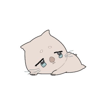 まろまゆ's profile picture