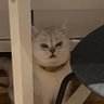 Фото профиля Clei