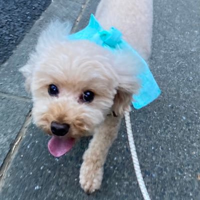 151515icigo's profile picture