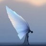 Wonders's profile picture