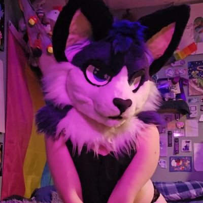 quintounleashed's profile picture