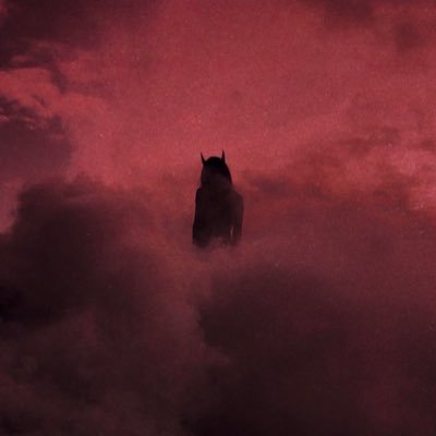 dszpjpzccc's profile picture