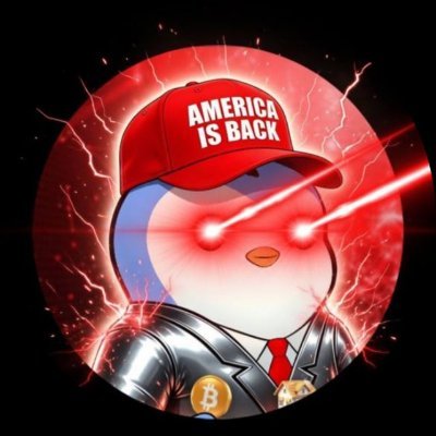 Satoshi Flipper's profile picture