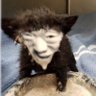 Profilbild von 大学の成績耐え_mania