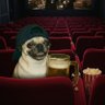 Profilbild von Another Unpaid Movie Critic