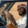 ثقافي ☆ اخباري's profile picture