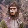 TheEmperorHasNoClothes's profile picture