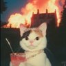 2ndstreet's profile picture