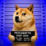 Psy 的头像
