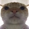 Noname T's profile picture