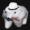Profilbild von polar