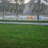 Фото профиля ahmed alhofy