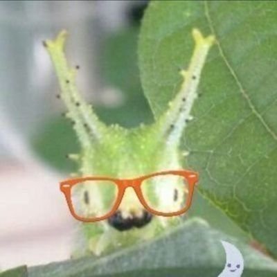 oomurasaki_imo's profile picture