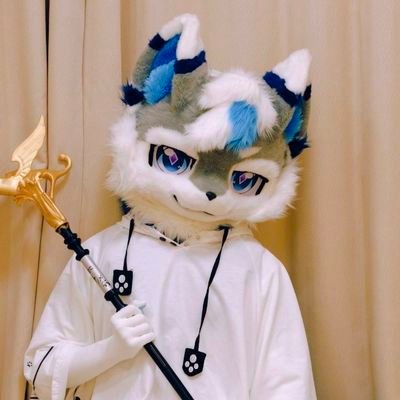 qiyu222's profile picture