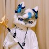 Profilbild von Meredith-馒头
