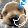 SoyDizzy's profile picture