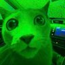 JustButter's profile picture