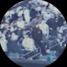 CT☘️'s profile picture