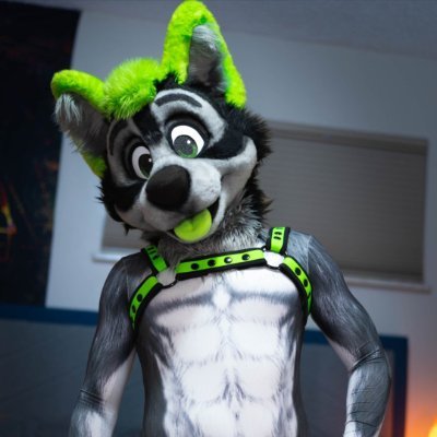 GunnerHoosk's profile picture