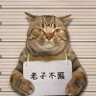 Profilbild von 事已至此先吃饭吧