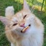Profilbild von crosseyed10-4