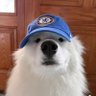 CFC_eternal's profile picture