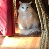 Dannie profil fotoğrafı