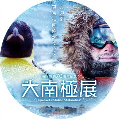 dainankyokuten's profile picture