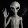 DOMINICAN ALIEN 的头像