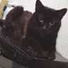 Cade profil fotoğrafı