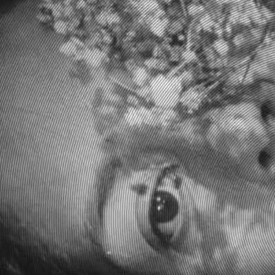 Marisol Cid's profile picture