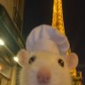 GN0M3's profile picture