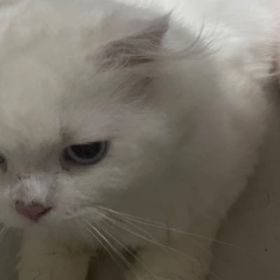 i yai ออm lล ้ต's profile picture