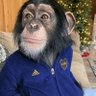 Leo's profile picture