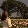 ام دانه 的头像