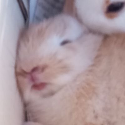 ...'s profile picture