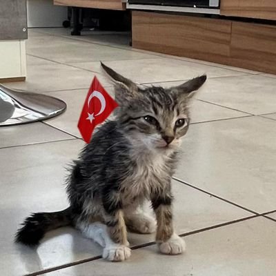 garibansipsi's profile picture