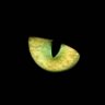 Profilbild von Carzycat775
