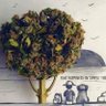 Фото профиля 𝐃𝐞𝐠𝐞𝐧 𝐉𝐨𝐡𝐧 ✦ 𝐙𝐞𝐫𝐨 𝐓𝐨 𝐇𝐞𝐫𝐨