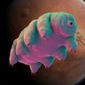 Profilbild von Tardigrade🇮🇳