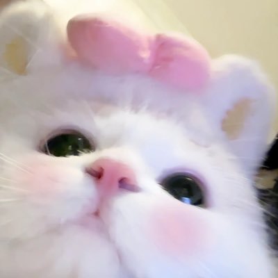 นอนอโบว์ชมพู🎀's profile picture