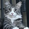 Profilbild von Zoski_boy
