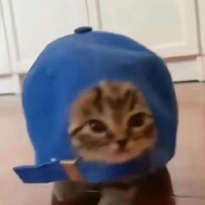 Meowpeggy0510's profile picture